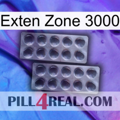 Exten Zone 3000 31